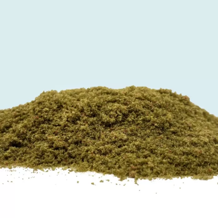 Grass Ground Cover  Earth Blend By Footpath Scenes