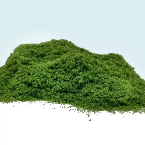 Grass Ground Cover  Lush Grass By Footpath Scenes