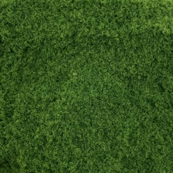 Grass Ground Cover  Lush Grass By Footpath Scenes