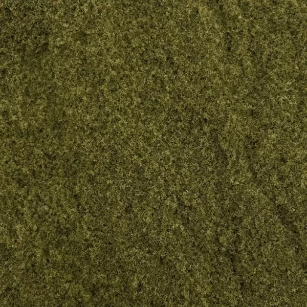 Grass Ground Cover  Burnt Grass By Footpath Scenes