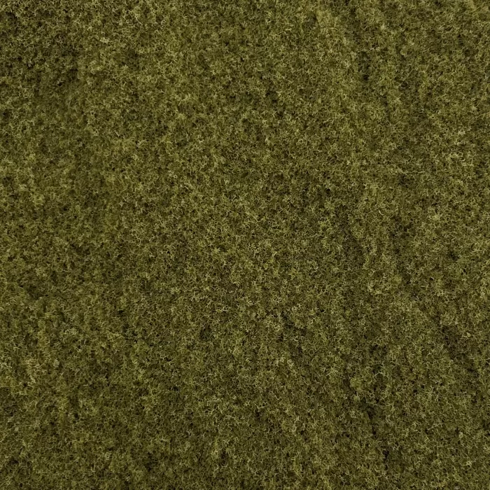 Grass Ground Cover  Burnt Grass By Footpath Scenes