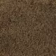 Coarse Turf and Foliage Cover Autumn Brown