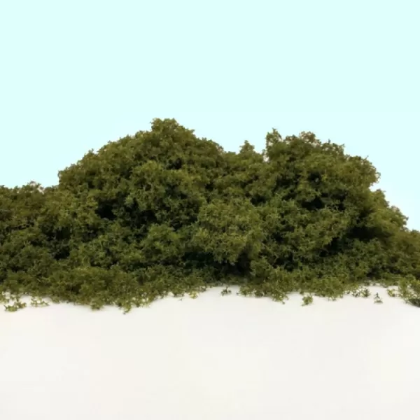 Fast Foliage Medium Green