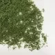 Fast Foliage Medium Green