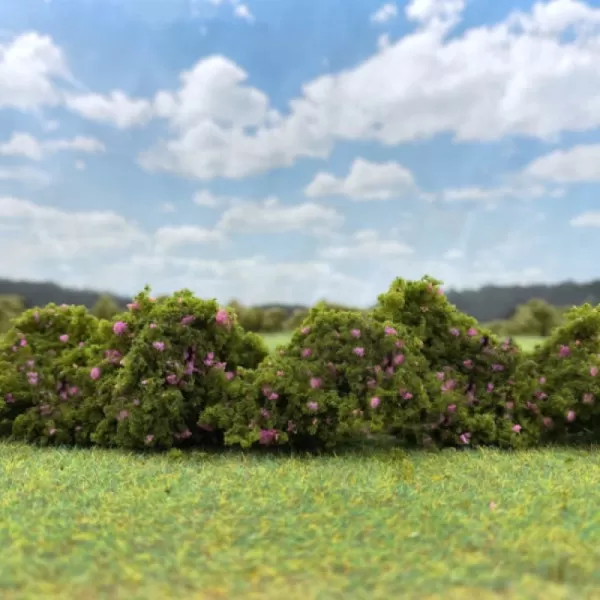 Lump Foliage Flowering Pink