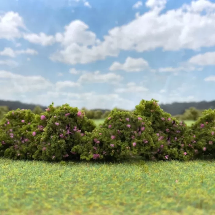 Lump Foliage Flowering Pink