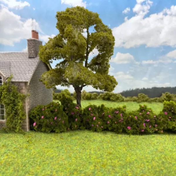Lump Foliage Flowering Pink