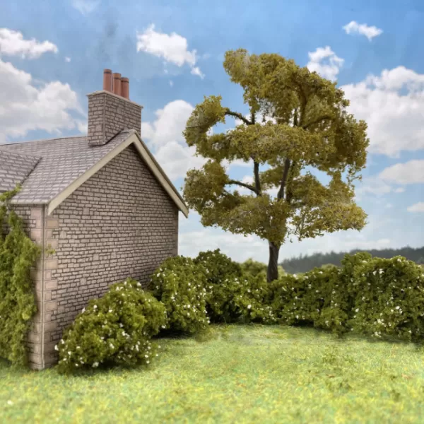 Lump Foliage White Hawthorn