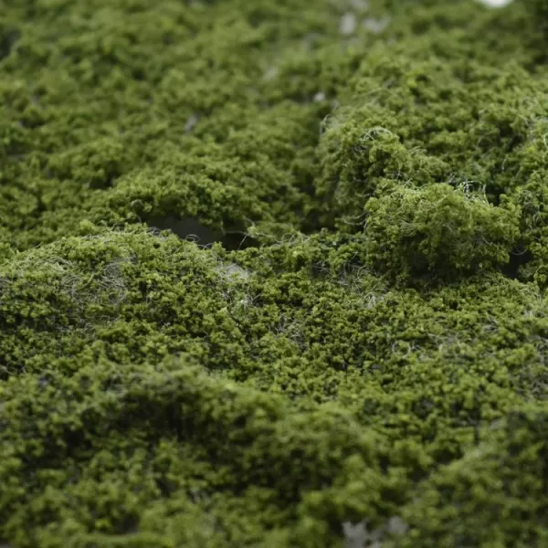 Foliage Mat Medium Green Footpath Scenes FP302