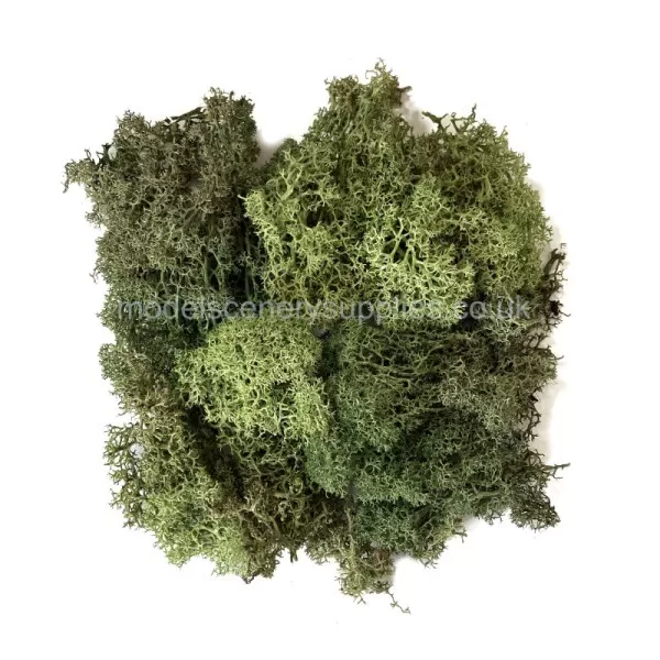 Lichen Mixed Natural Green 40g