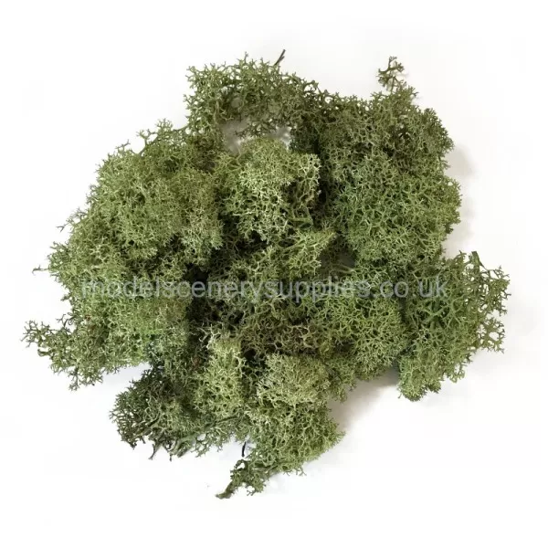 Lichen Light Natural Green 40g