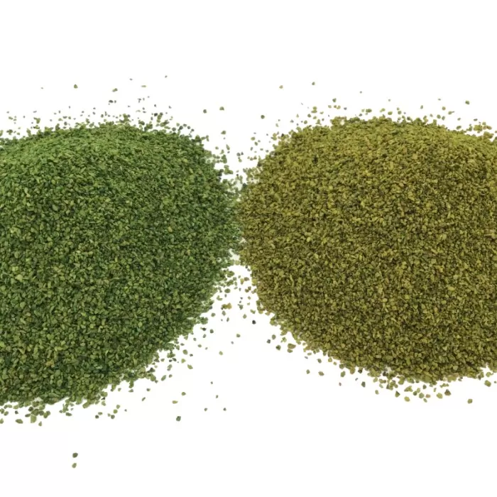 Leaves Burnt Green Leaf Foliage 