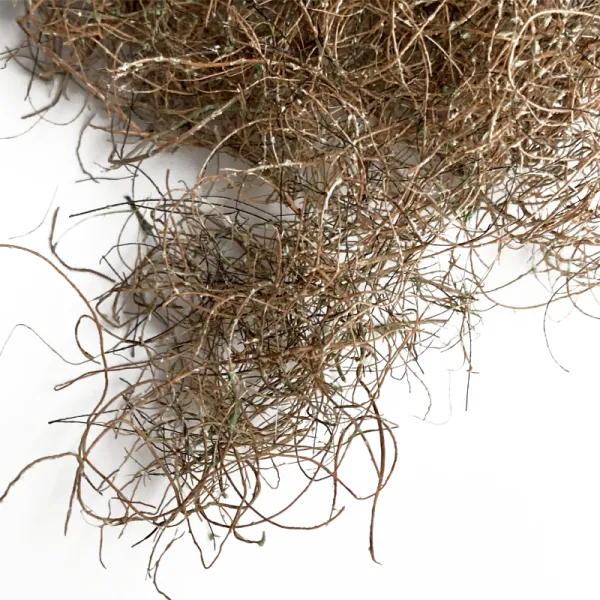 Shredded Rubberised Horse Hair Brambles 