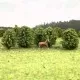 Small Scale Deciduous Trees 26mm tall 10 pack Z gauge