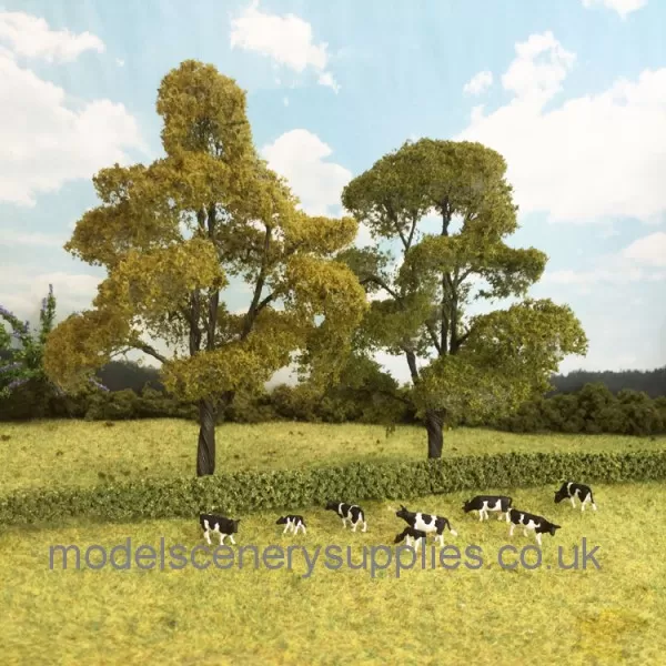 Summer Elm Trees 150mm Tall