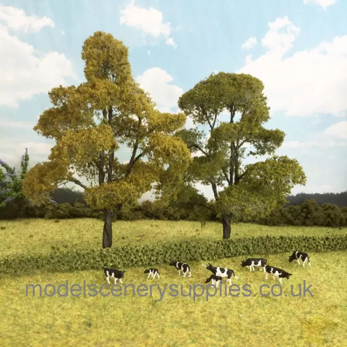 Summer Elm Trees 150mm Tall