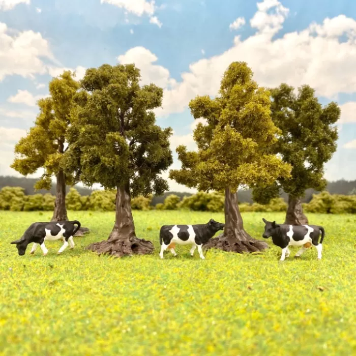 Sycamore trees 95mm Tall