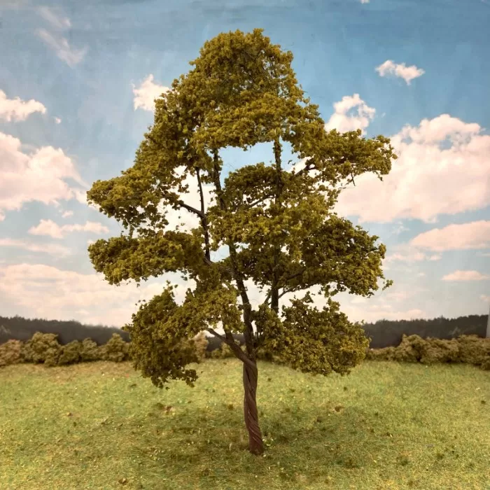 Large Spreading Sycamore 200mm Tall