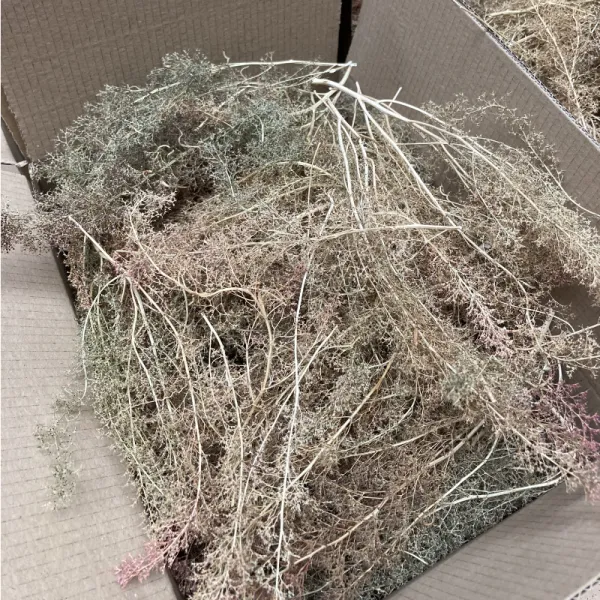 Seafoam Bulk Pack SPECIAL OFFER