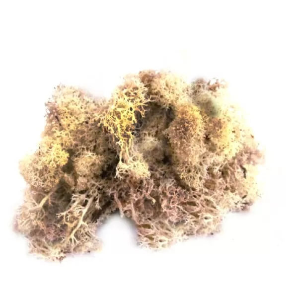 Basing Greenery Desert Foliage 