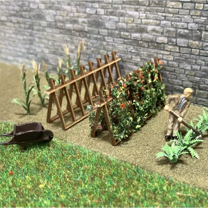 Runner Beans and Support Kit OO