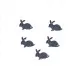 Rabbits  OO  