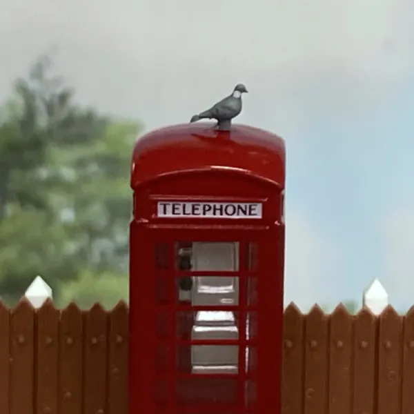 Pigeons OO  