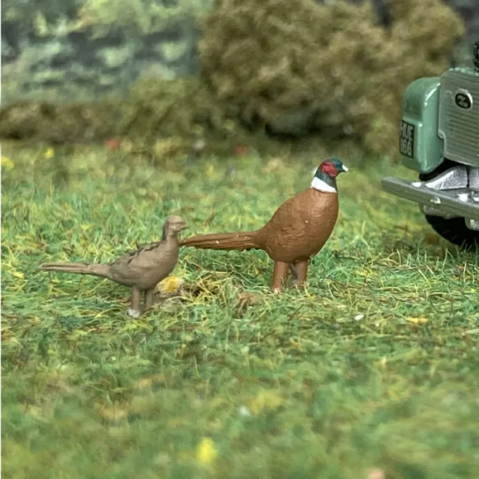 Pheasants OO