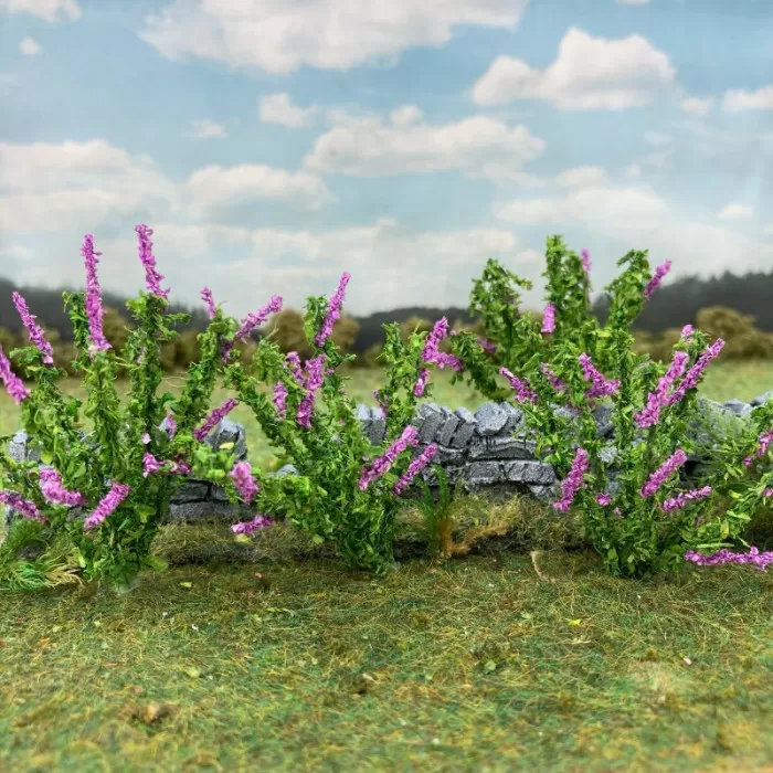 Buddleia Wild SHORT   MP70051W