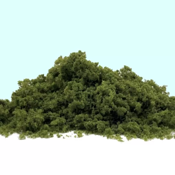 Coarse Turf and Foliage Cover   Medium Green  By Footpath Scenes