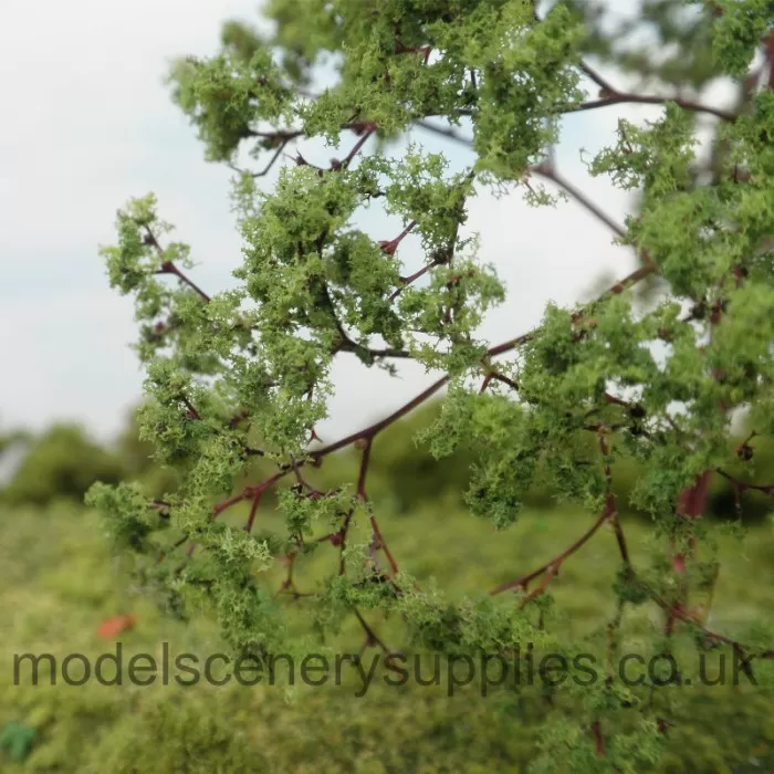 Seafoam Trees, Specimen 