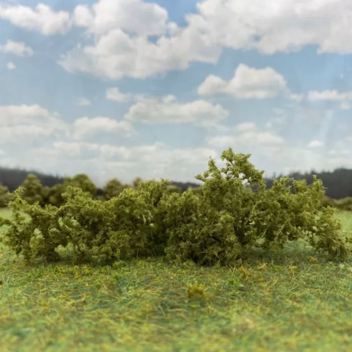 Shrub Bush Thicket Medium Green FP442