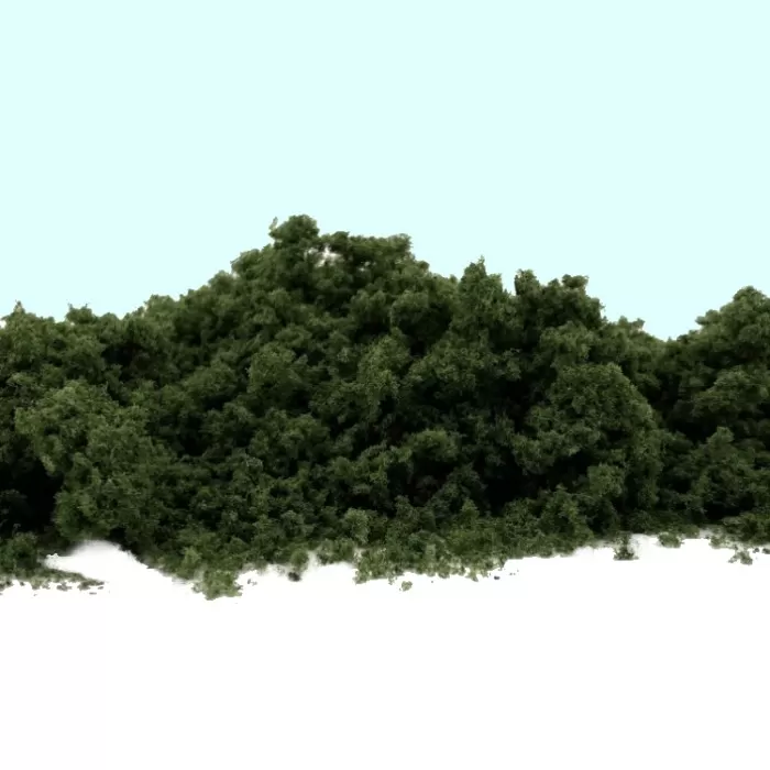 Coarse Turf and Foliage Cover  Wild Green  By Footpath Scenes