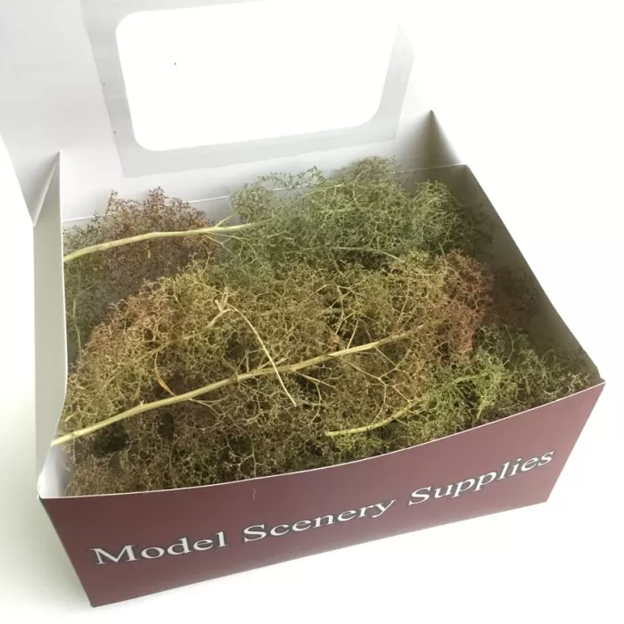 Seafoam Trees, Standard Trees