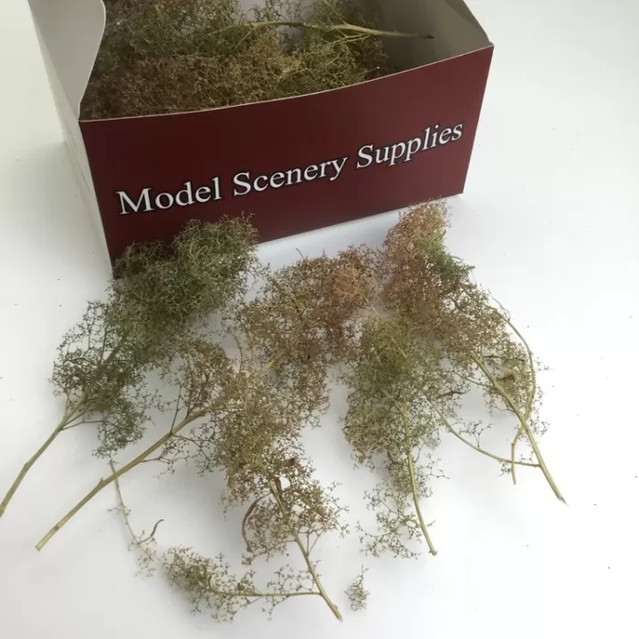 Seafoam Trees, Standard Trees