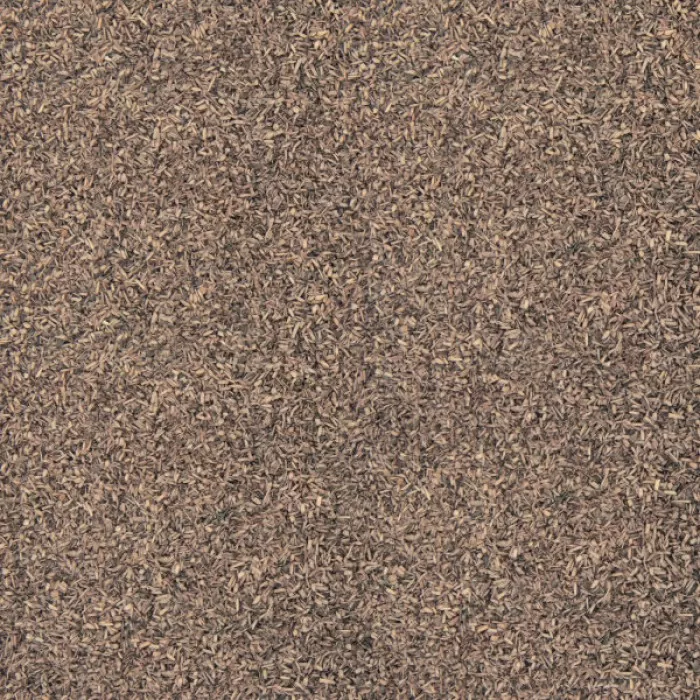 Brown Scatter Noch 08440