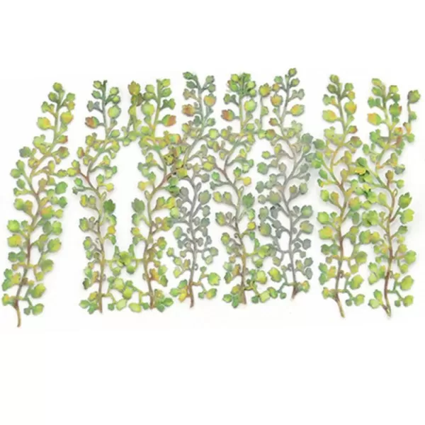  Virginia Creepers   OO  TT  GM1662