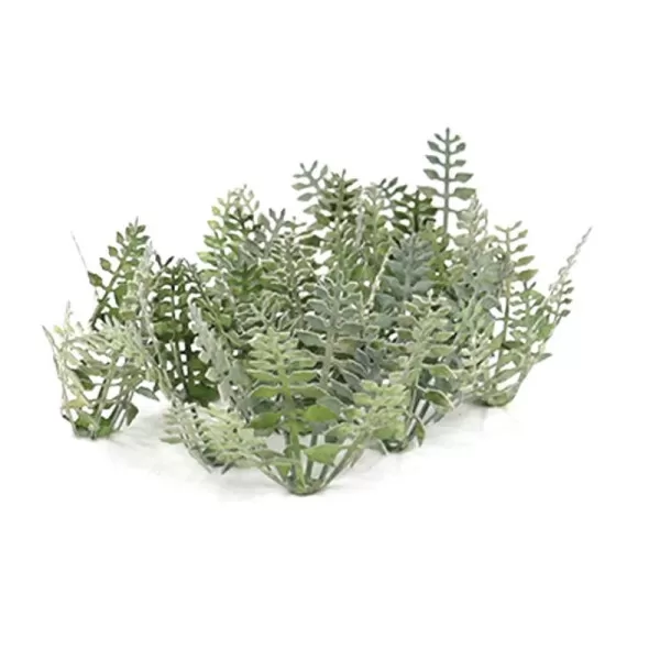 Stinging Nettles  OO  TT