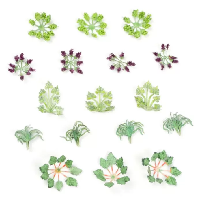 Garden Plants OO / TT