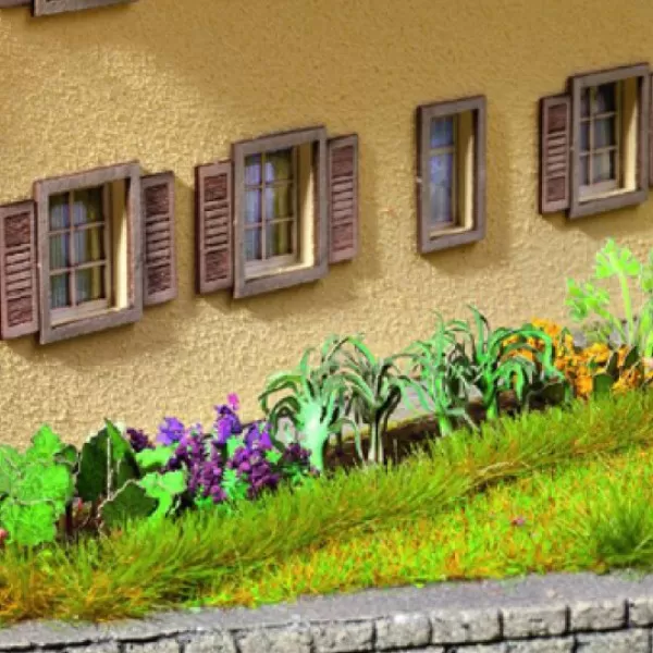 Garden Plants OO / TT