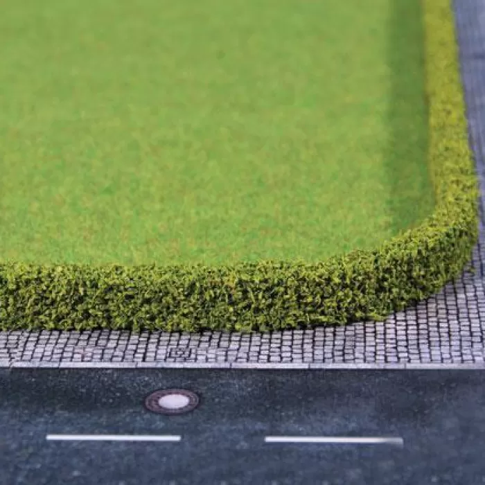 Model Hedge Light Green Privet or Thuja Hedge LOW