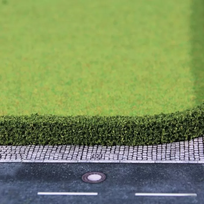 Model Hedge Medium green Privet or Thuja hedge LOW