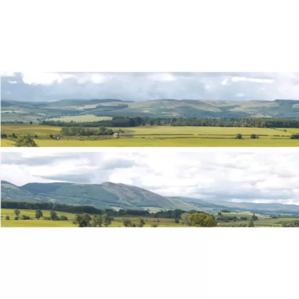 Backscene Hills and Dales 206B OO 15inch