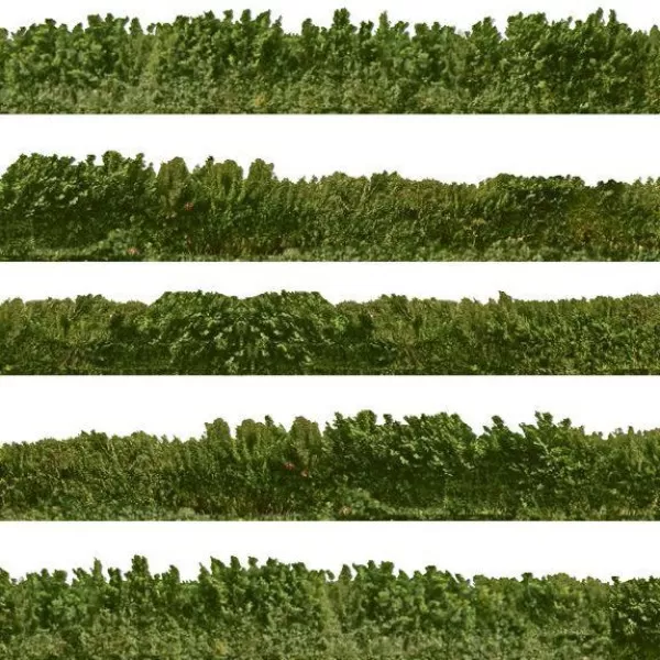 Self-Adhesive Printed Hedge OO