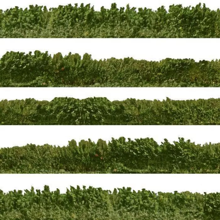Self-Adhesive Printed Hedge OO