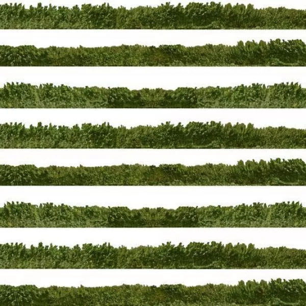 Self-Adhesive Printed Hedge N Gauge