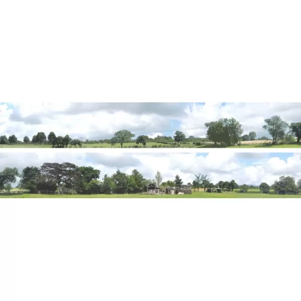 Backscene Into the Town 107D OO 9inch tall