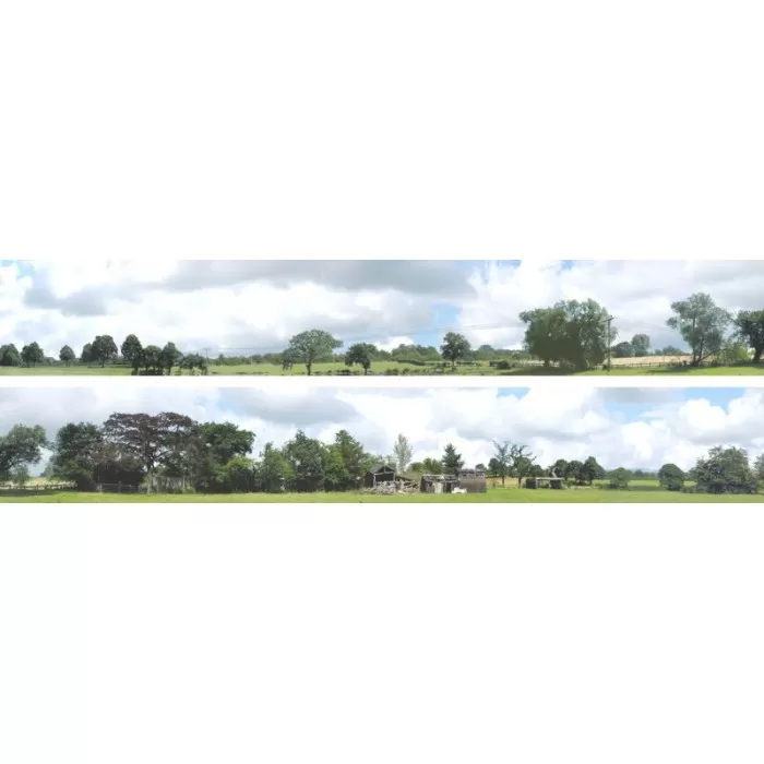 Backscene Into The Town 107D OO 9Inch tall Self Adhesive