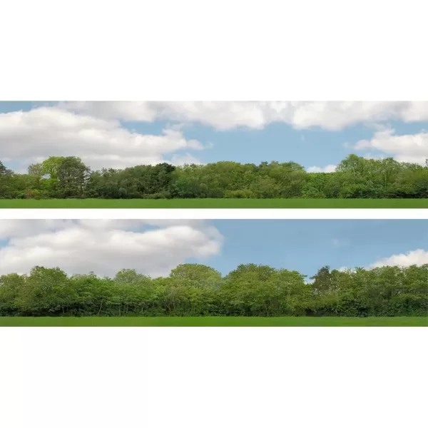 Backscene Trees 147D  OO 15 inch tall