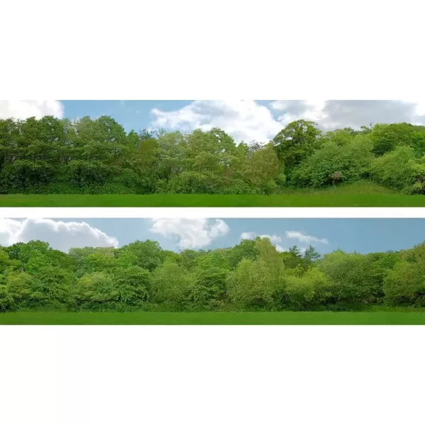 Backscene Tall Trees pack 149B 1:43 scale 15inch